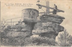 Saint Die - Massif De L'Ormont - Le Sapin Sec -
													88 Vosges
												