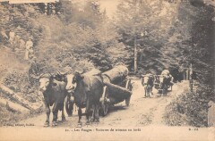 Les Vosges - Voitures De Tronces En Foret - Vaches -
													88 Vosges
												