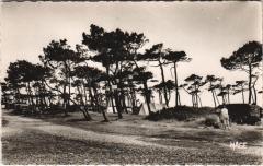 La Molliere Le Terrain de Camping