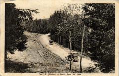 Poule - Route dans les Bois