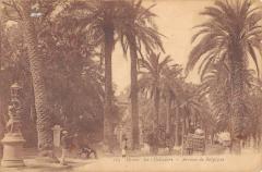 Hyeres Les Palmiers - Avenue De Belgique