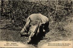 Paris 5e-jardin des Plantes-Rhinocéros Blanc du Soudan -
																					75005 Paris 5e
																			