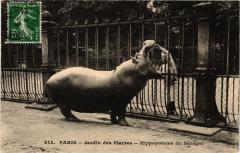 Paris 5e-Jardin des Plantes-Hippopotame du Sénégal à Paris 5e