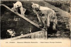 Paris 5e-Museum d'Histoire Naturelle-Ours Blancs -
																					75005 Paris 5e
																			