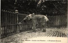 Paris 5e-Jardin des Plantes-L'Eléphant Koutch -
																					75005 Paris 5e
																			