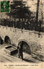 Paris 5e-Jardin des Plantes-Ours Martin -
																					75005 Paris 5e
																			