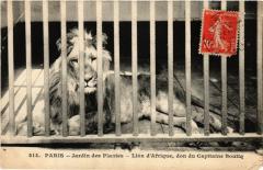 Paris 5e-Jardin des Plantes-Lion d'Afrique -
																					75005 Paris 5e
																			