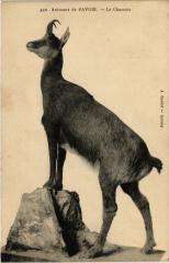 Paris 5e-Animaux de Savoie-Le Le Chamois à Paris 5e