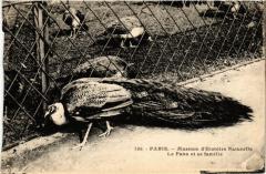 Paris 5e-Museum d'Histoire Naturelle-Le Paon et sa famille -
																					75005 Paris 5e
																			