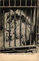 Paris 5e-Jardin des Plantes-Le Lion Cyrano -
																					75005 Paris 5e
																			