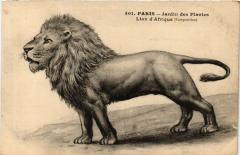 Paris 5e-Jardin des Plantes-Lion d'Afrque à Paris 5e