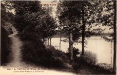 Le Petit bois et l'Etang des Ponts Neufs