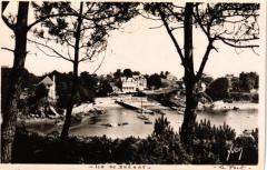 Ile de Brehat - Le Port a travers les Pins à Île-de-Bréhat