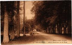 Les Chatelets - Allée du Sacré-Coeur vue de l'Etang