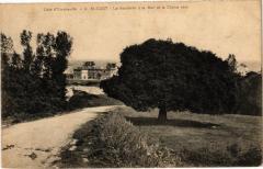 Cote d'Emeraude - Saint-Cast - La descente a la Mer et le Chéne vert