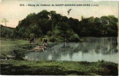 Etang du Chateau de Saint-Aignan-des-Gues