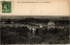 Chatillon - Coligny - La Vue générale