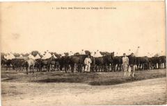Le Parc des Chevaux au Camp de Cercottes à Cercottes