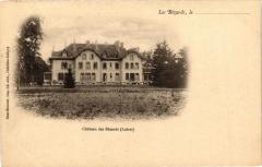 Les Bezards le Chateau des Bezards -