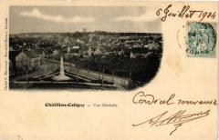 Chatillon - Coligny - Vue générale