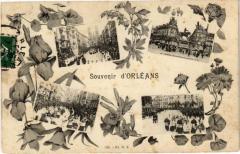 Souvenir d'Orleans -
													45 Loiret
												