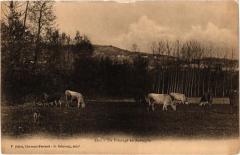 Un Paturage en Auvergne