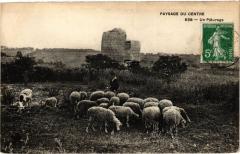 Paysage du Centre - Un Paturage