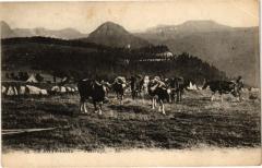 Le Mont-Dore - Paturage à Mont-Dore