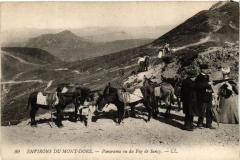 Env. du Mont-Dore - Panorama vu du Puy de Sancy à Mont-Dore