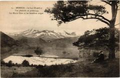 Murols - Le Lac Chambou - Vue générale au printemps - Le Monts-Dore à Murol