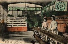 Vichy Nouvelle Source-Parc des Célestins à Vichy