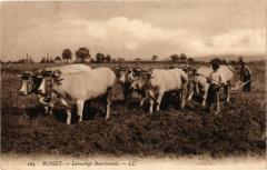 Busset - Labourage Bourbonnais à Busset