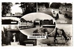 Haras-du-Pin
