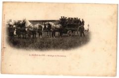 Le Haras-du-Pin - Attelage de perherons