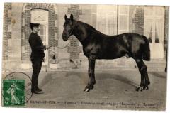 Le Haras-du-Pin - Fuschia