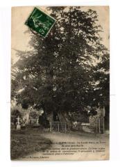 Environs de flers(orne) .- La lande patry -
																					61100 Flers
																			