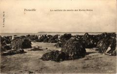 Trouville - La cueillette des moules aux Roches Noires