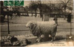 La Normandie - La mere et l'enfant