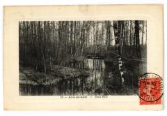 Arcis-sur-Aube - Sous bois à Arcis-sur-Aube