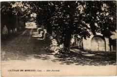 Chateau de Mercues - Allée d'arrivée