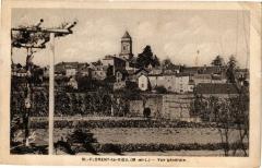 Saint-Florent-le-Vieil - Vue générale