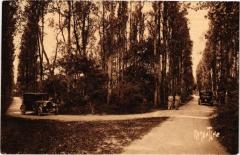 Ile d'Oleron - Foret des Saumonards - Boyardville