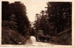 G. D'O. - Le Mont-Dore - Paysage route du Sancy à Mont-Dore