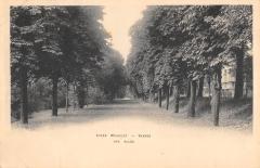 Vanves - Lycee Michelet - Une Allee à Vanves