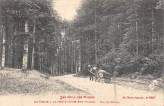 De Fraize A La Croix Aux Mines - Col Du Chipal à La Croix-aux-Mines