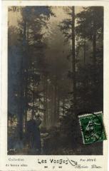 Les Vosges - Par Jové