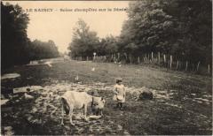 Le Raincy - Scéne champétre sur la Dhuis au Raincy