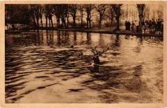 Chantilly Chasses a Courre France à Antilly