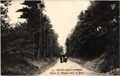 St Leu Route de Chauvry dans la Foret à Chauvry