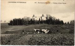 Billom Chateau d'Haut-Teyras France à Billom